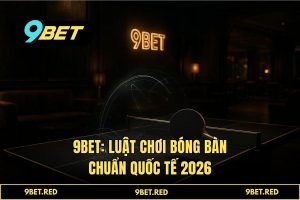 Phân tích Luật chơi bóng bàn 2026: Từ Dữ Liệu Số Học Đến Kèo Cược 9BET